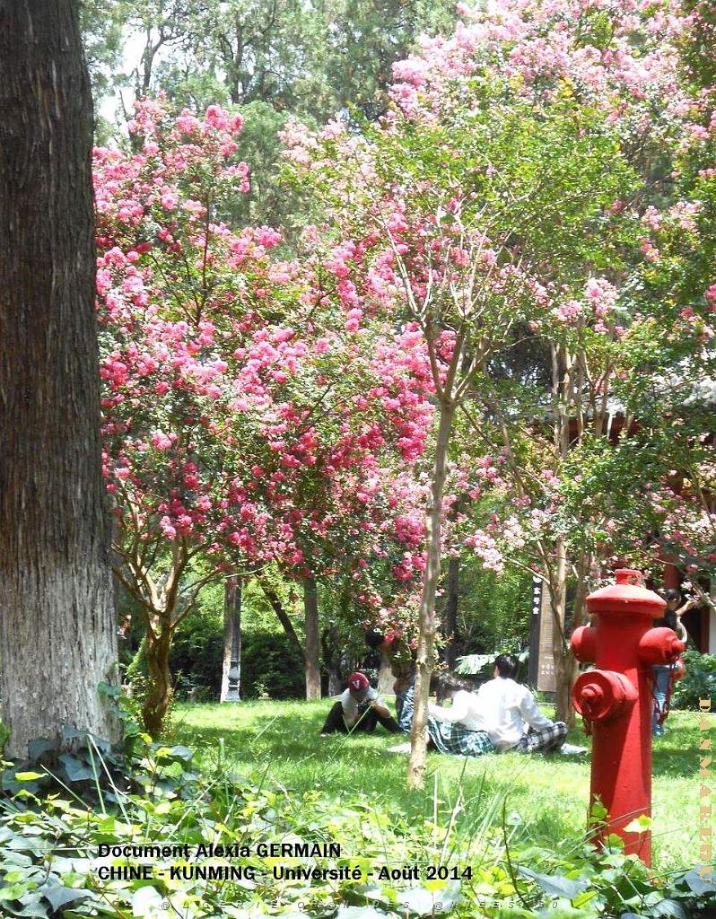 141- Alexia - Kunming.JPG